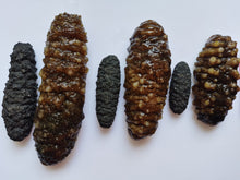 Load image into Gallery viewer, Caribbean