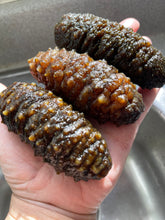 Load image into Gallery viewer, Caribbean